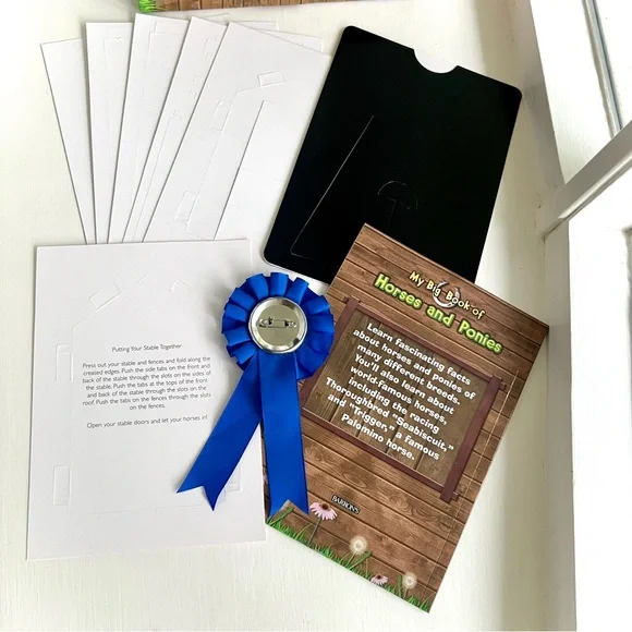 NEW My Big Box of Horses & Ponies Figures Stable Prize Ribbon Horse Book Toy Set - Picture 5 of 13
